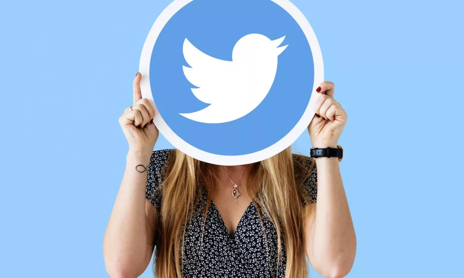 Person holding a Twitter logo sign.